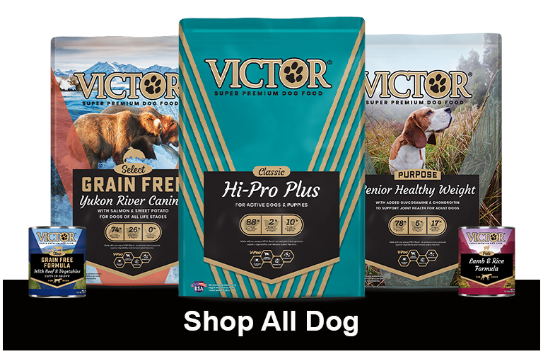 Victor dog food rural king best sale