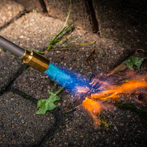 Mag Torch Weed Burning Self Light Propane Torch at Menards