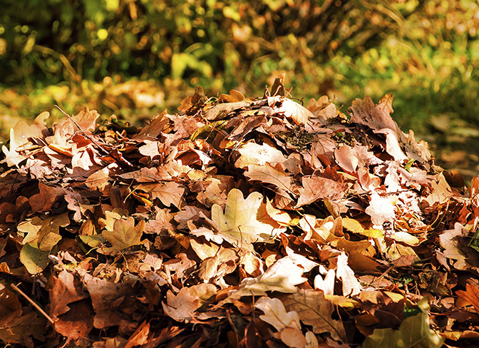 Best garden shredder 2024: rid your yard of twigs and leaves