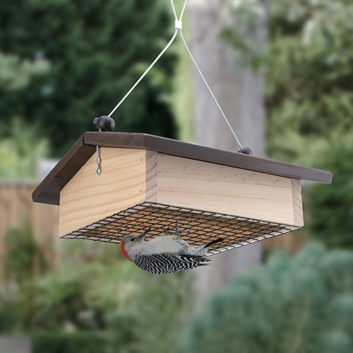 bird feeder hooks, bird feeder hooks Suppliers and Manufacturers at