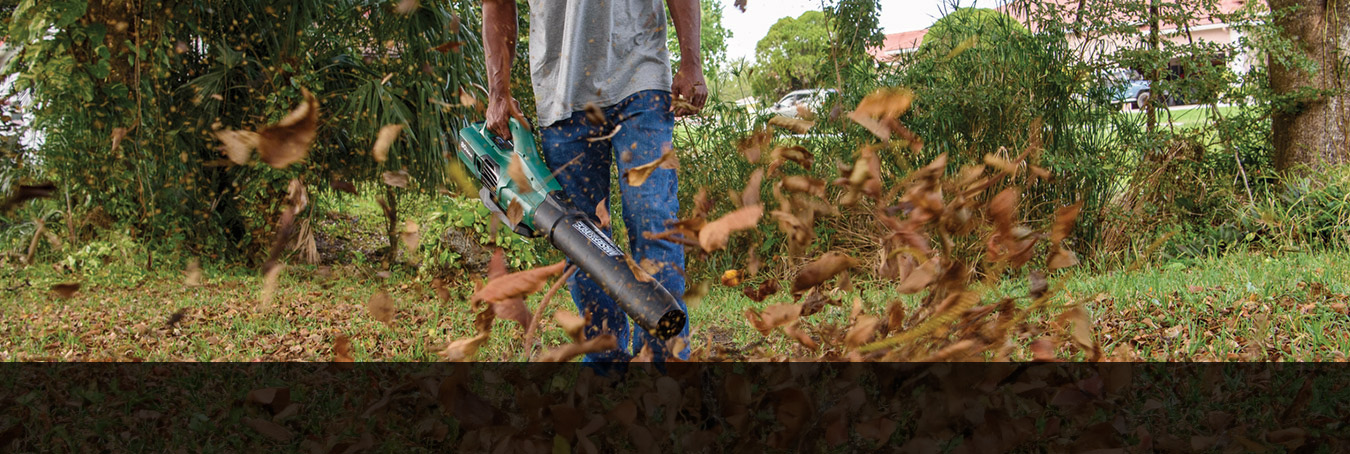 Sitemapcdatahttpswwwkedriinfoleaf Blowers At Menardsnull