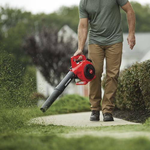 Cordless Electric Leaf Blower, Portable Blower, Small Corded Leaf