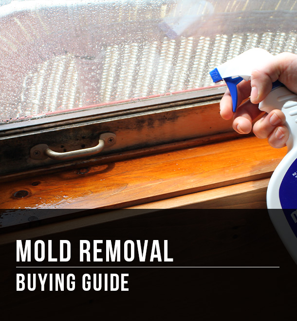 Guide To Killing Black Mold