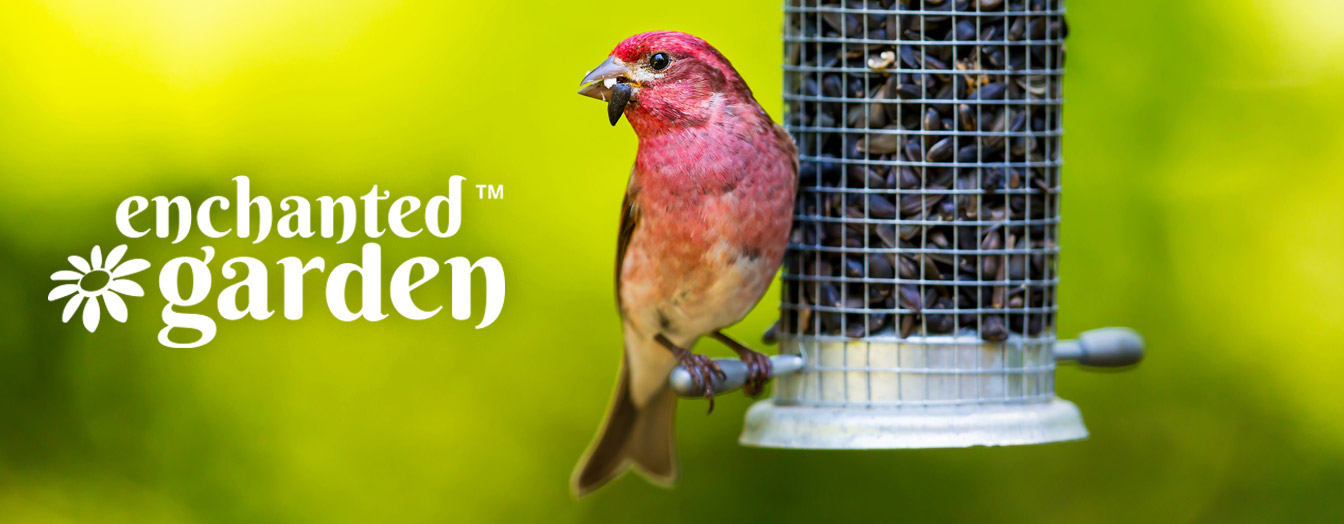 Enchanted Garden Bird Seed at Menards®